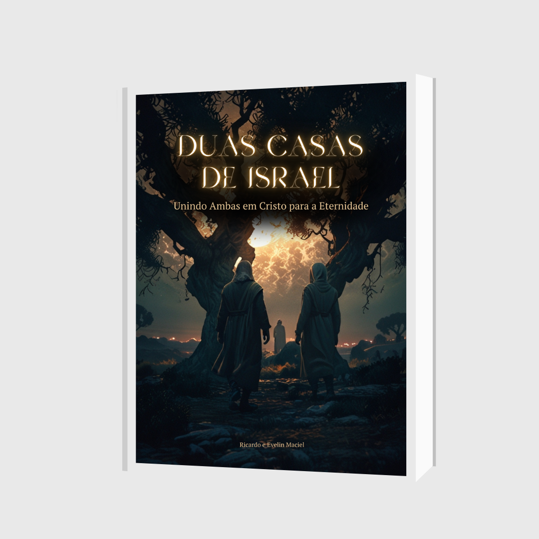 capa livro duas casas de israel