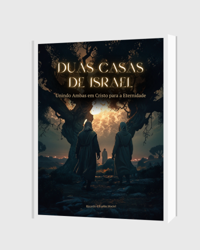 capa livro duas casas de israel